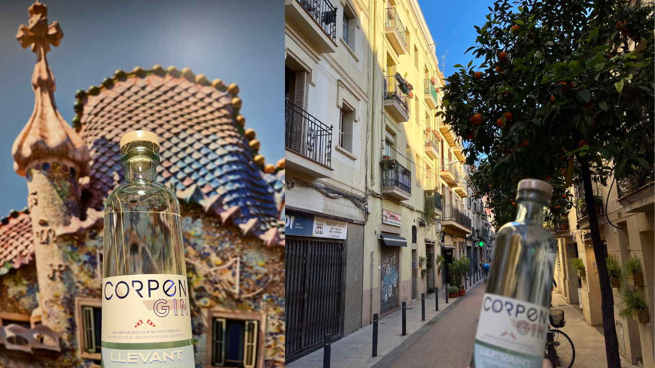 Entdecke die Welt des Corpen Gins: Eine Hommage an den mediterranen Wind