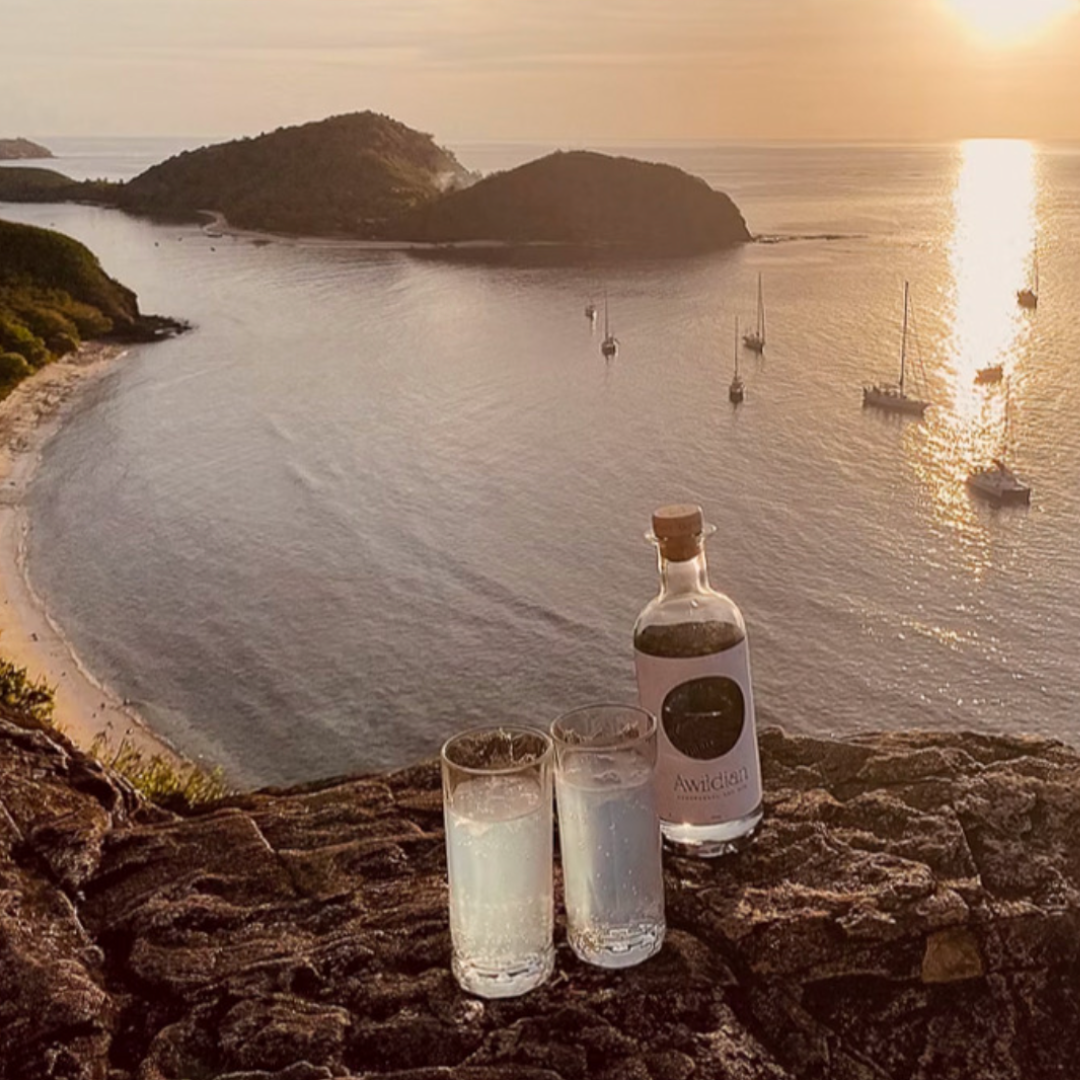 Awildian Coromandel Dry Gin - perfekte Harmonie aus der Wildnis Neuseelands