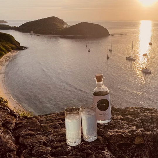 Awildian Coromandel Dry Gin - perfekte Harmonie aus der Wildnis Neuseelands