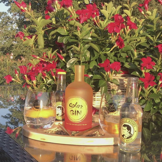 Solar Gin - hol dir die Sonne in dein Glas