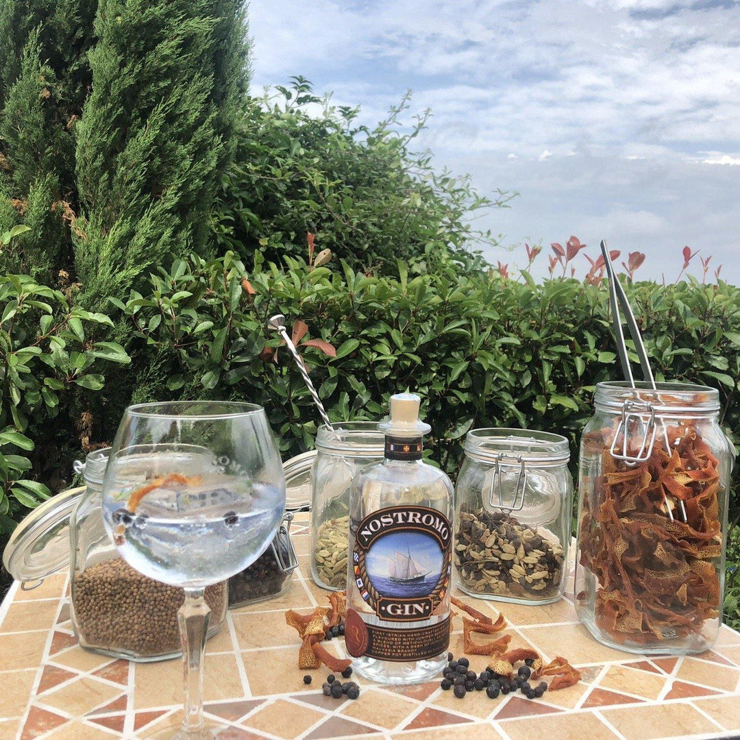 Nostromo Wine Gin - Wein meets Gin - Glocal Gin