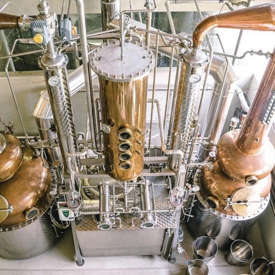 The Good Gin - Essence of life in Bio Qualität