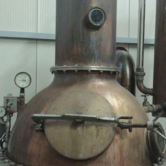 Nostromo Wine Gin - Wein meets Gin