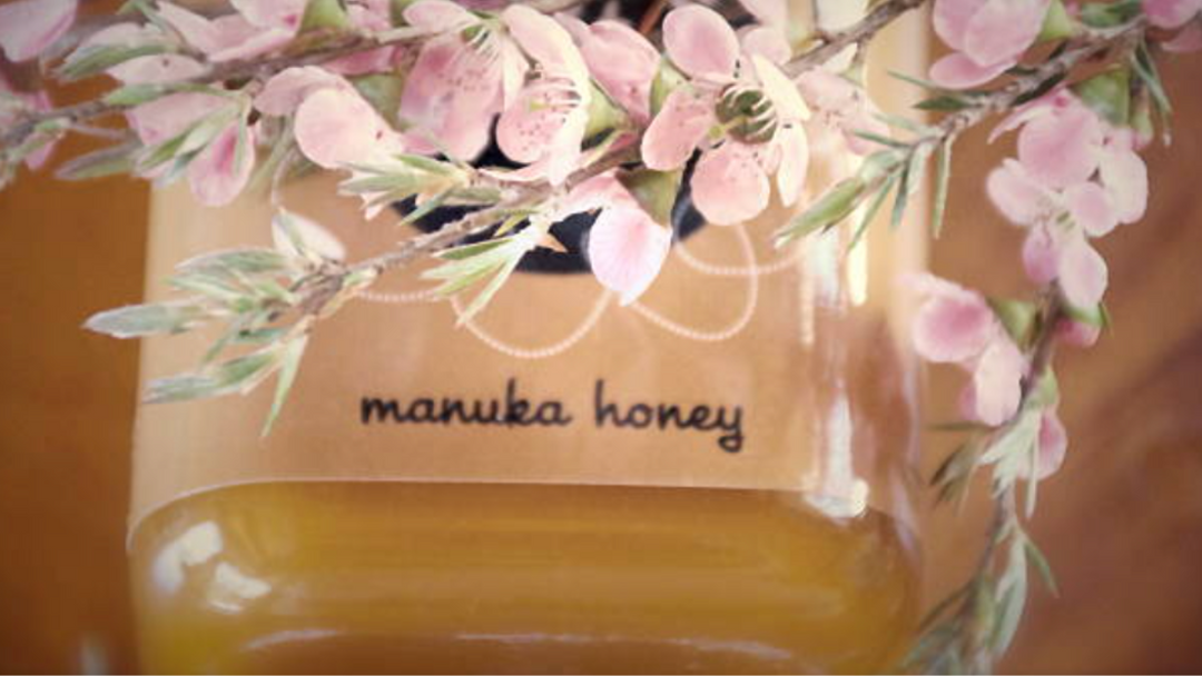 Alles, was du über Manuka Honig wissen musst: Herkunft, MGO und Besonderheiten