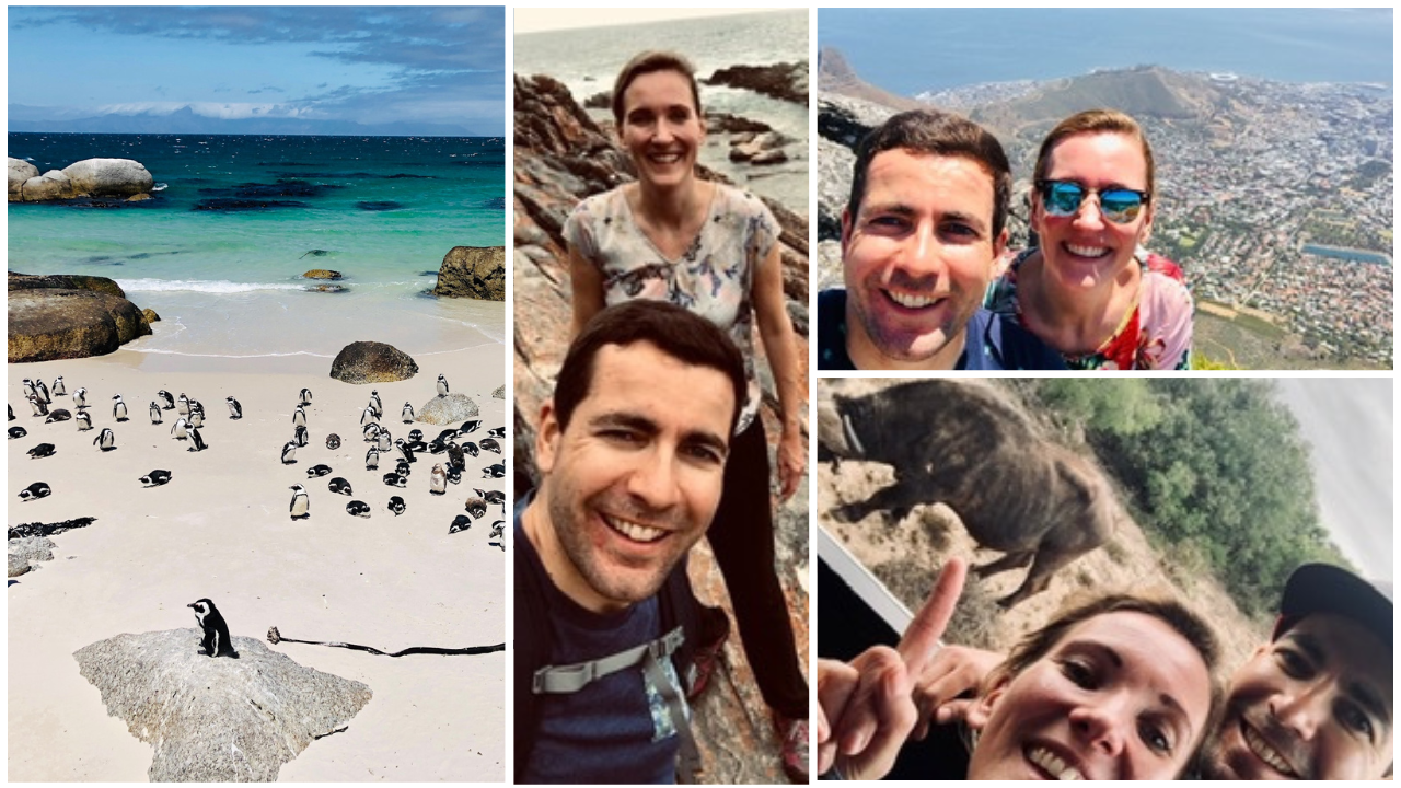 Geheimtipps Südafrika - unsere Top 7 Highlights auf einer Reise entlang der Garden Route