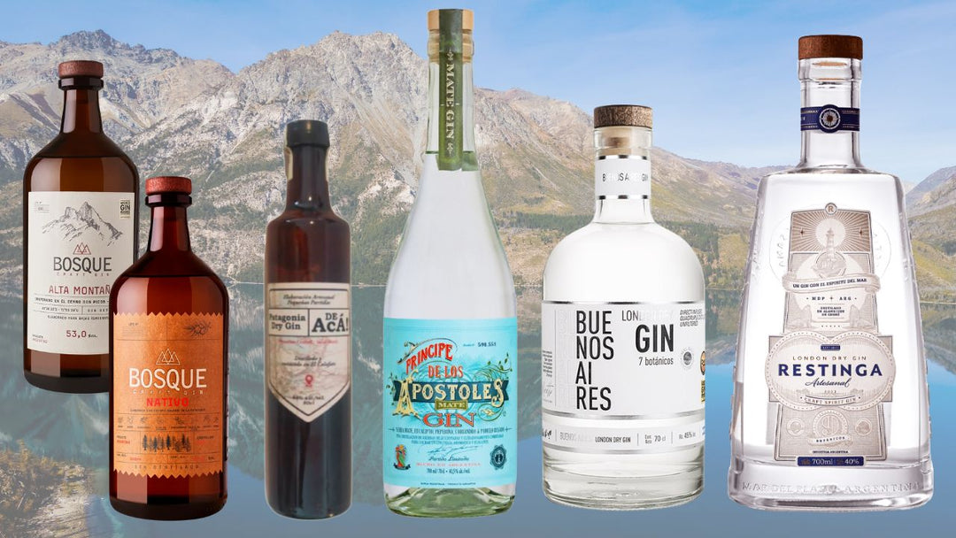 Gin aus Argentinien: 5 crafted Gins zwischen Buenos Aires, Mendoza und Patagonien