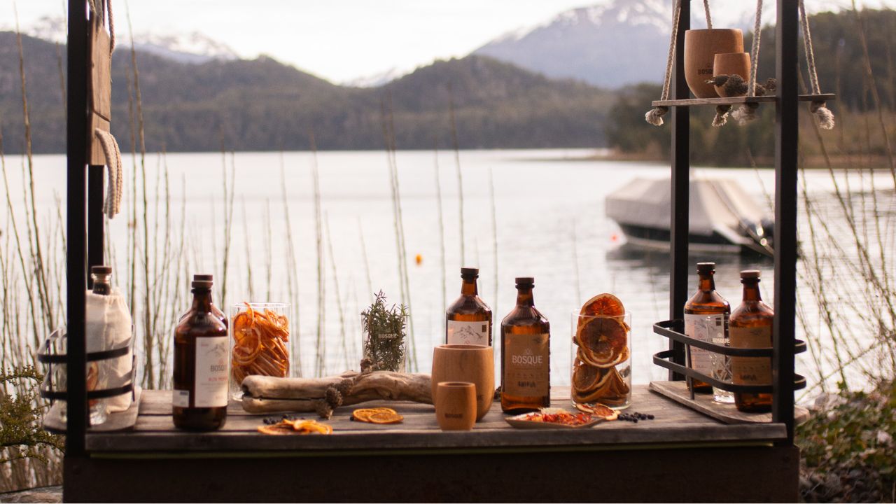 Bosque Nativo vs. Alta Montaña – welcher Patagonien Gin passt zu dir?