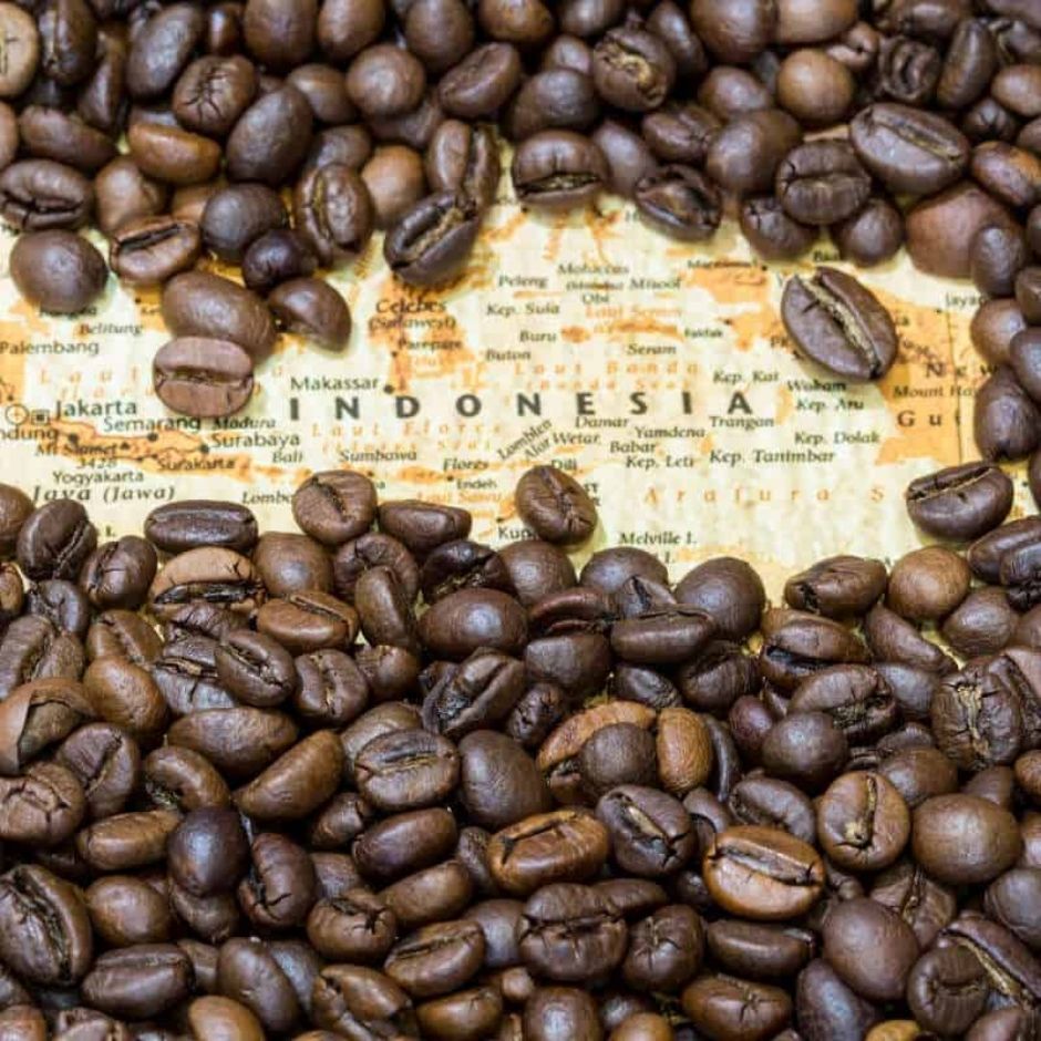 Nusantara Kaffeelikör aus Indonesien - Für Espresso Martini mit Gin