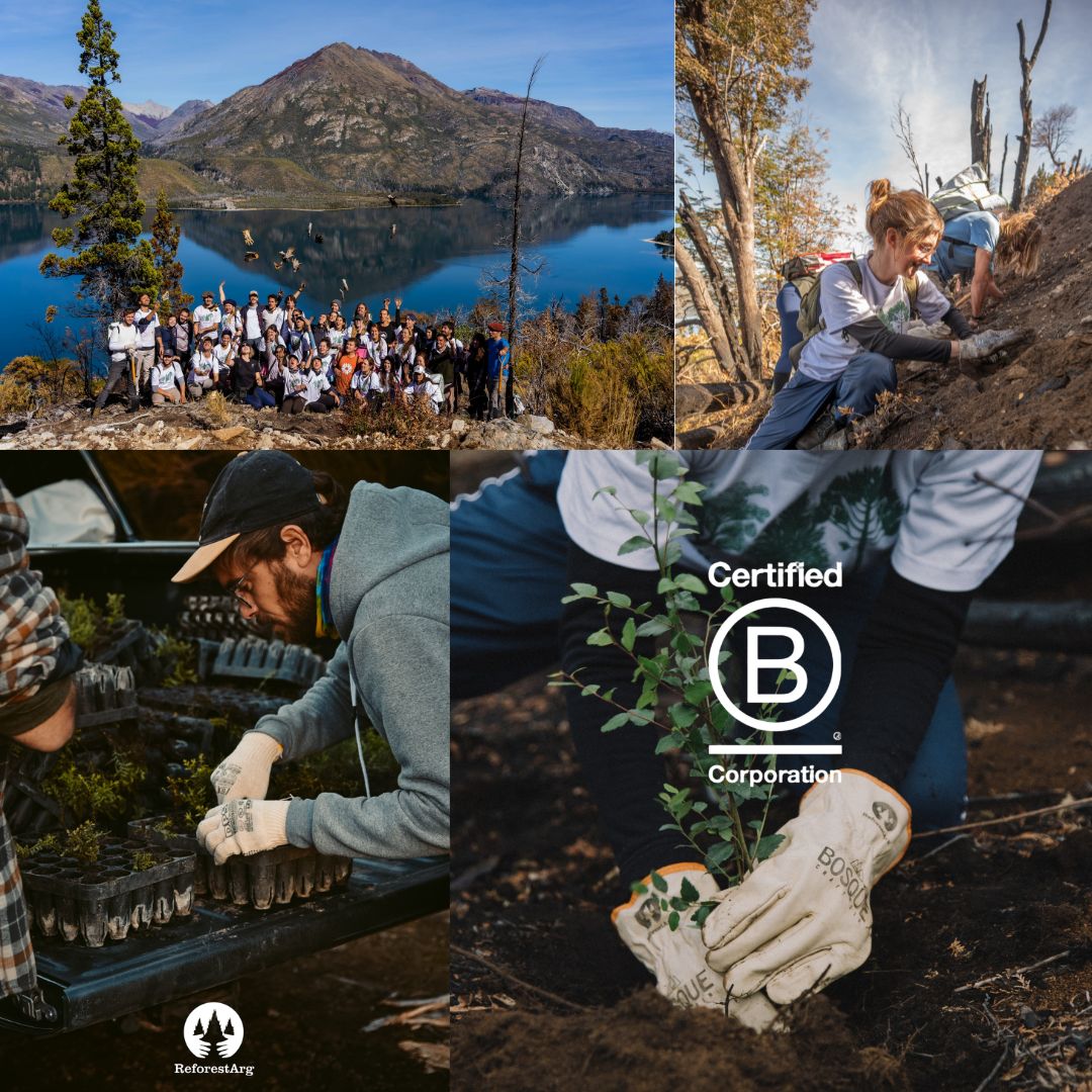Bosque Gin Argentinien - Bundle Nativo & Alta Montaña aus Patagonien