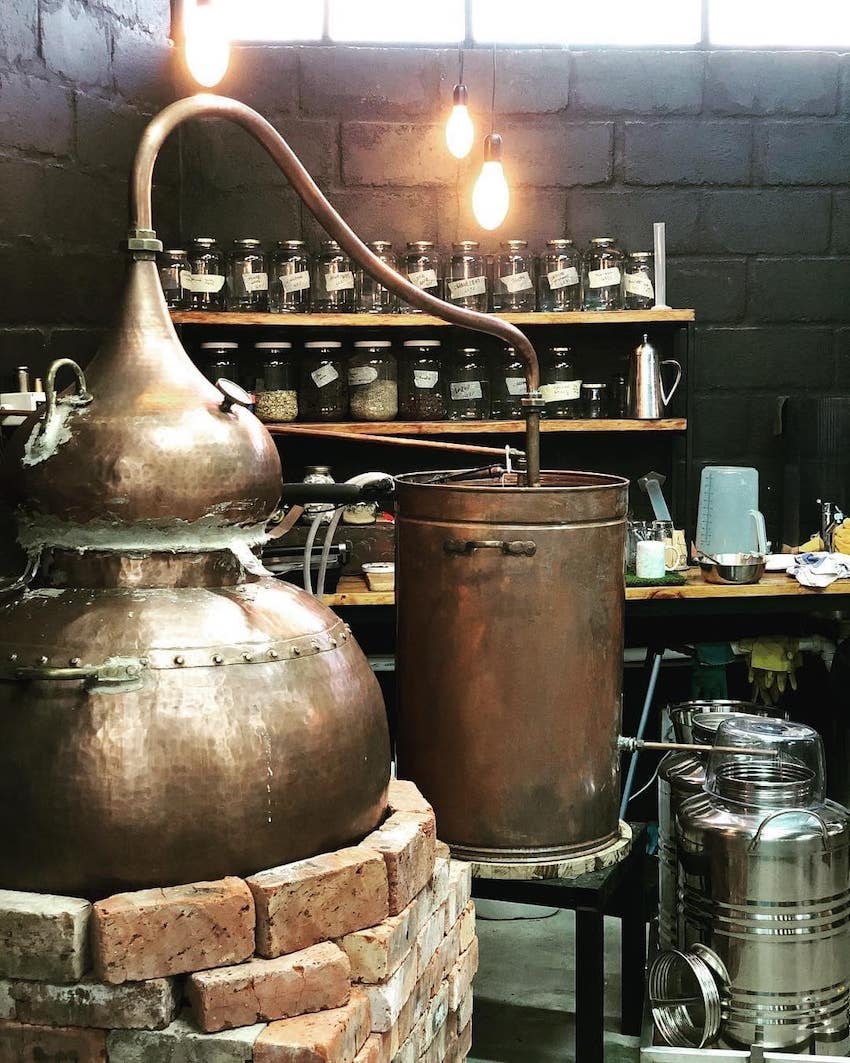Knysna Gin - der Geschmack Südafrikas - Bundle Classic & Infused Gin
