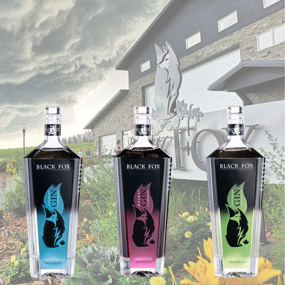 Black Fox, der Geschmack Kanadas - Bundle Dry, Cucumber & Haskap