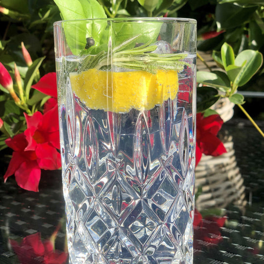 Spiegelau & Nachtmann Noblesse Longdrink Glas 375 ml, 4er-Set - Glocal Gin